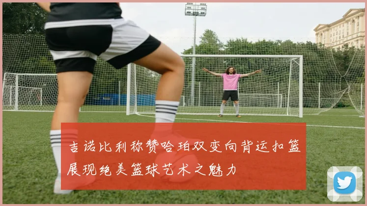 吉诺比利称赞哈珀双变向背运扣篮展现绝美篮球艺术之魅力